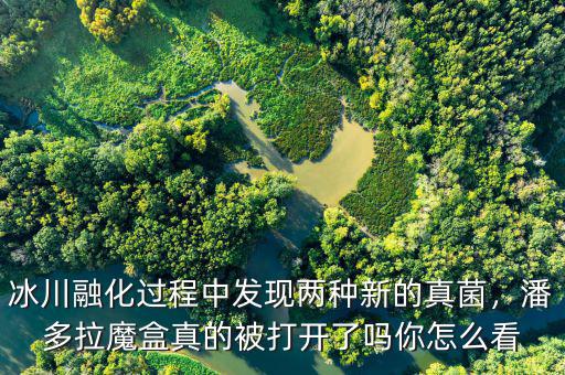 冰川融化過程中發(fā)現(xiàn)兩種新的真菌，潘多拉魔盒真的被打開了嗎你怎么看
