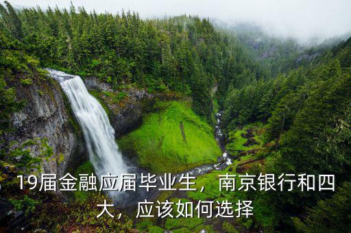 19屆金融應屆畢業(yè)生，南京銀行和四大，應該如何選擇