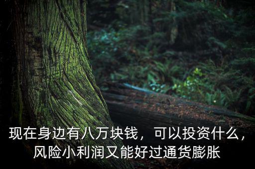 現(xiàn)在身邊有八萬塊錢，可以投資什么，風(fēng)險小利潤又能好過通貨膨脹