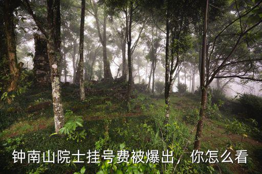 鐘南山院士掛號費被爆出，你怎么看