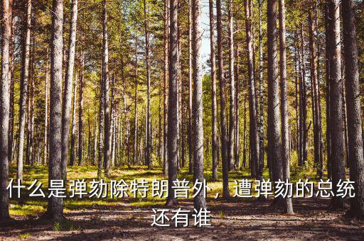 什么是彈劾除特朗普外，遭彈劾的總統(tǒng)還有誰