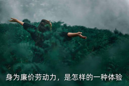 身為廉價勞動力，是怎樣的一種體驗