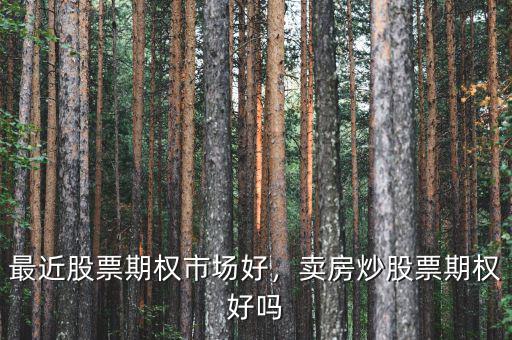 最近股票期權(quán)市場(chǎng)好，賣(mài)房炒股票期權(quán)好嗎