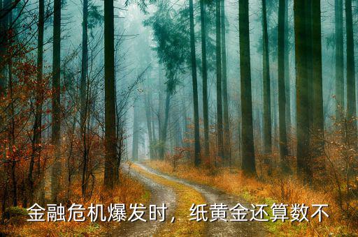 金融危機爆發(fā)時，紙黃金還算數(shù)不