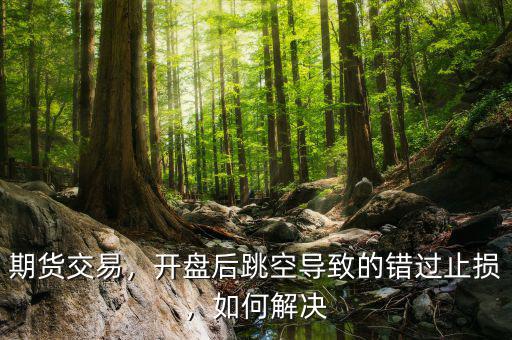 期貨交易，開盤后跳空導(dǎo)致的錯過止損，如何解決