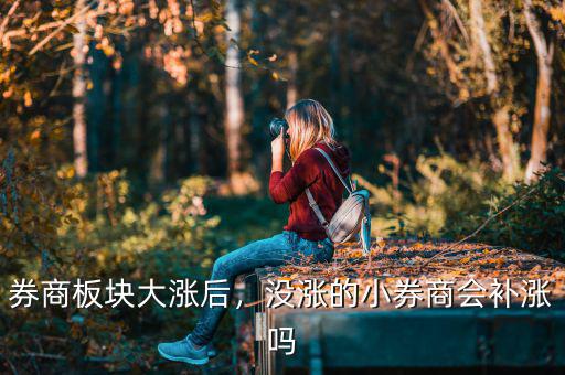 券商板塊大漲后，沒(méi)漲的小券商會(huì)補(bǔ)漲嗎
