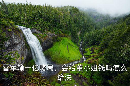 雷軍輸十億賭局，會(huì)給董小姐錢(qián)嗎怎么給法