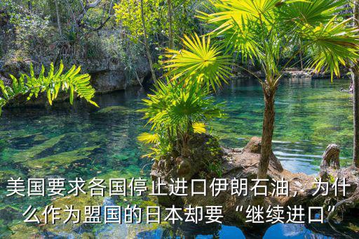 美國要求各國停止進(jìn)口伊朗石油，為什么作為盟國的日本卻要“繼續(xù)進(jìn)口”