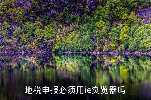 用什么瀏覽器申報(bào)山東地稅，地稅申報(bào)必須用ie瀏覽器嗎