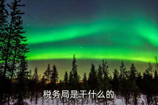 國家稅務局是做什么的，稅務局是在做什么的