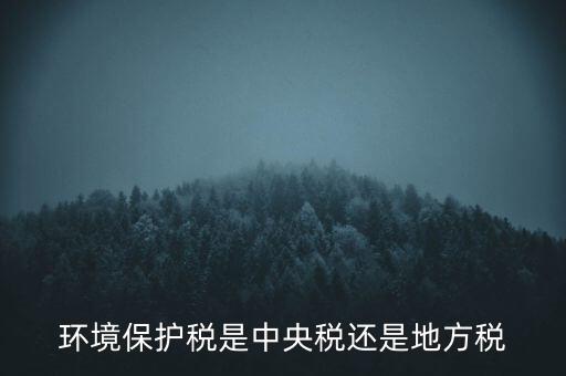 環(huán)境保護(hù)稅的機(jī)關(guān)是什么，環(huán)境保護(hù)稅由哪個機(jī)關(guān)負(fù)責(zé)征收