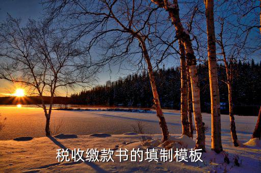 稅收繳款書字軌是什么，什么是文書字軌