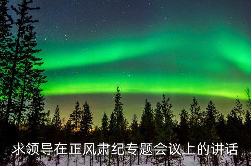 正風(fēng)肅紀(jì)講話什么意思，求領(lǐng)導(dǎo)在正風(fēng)肅紀(jì)專題會(huì)議上的講話