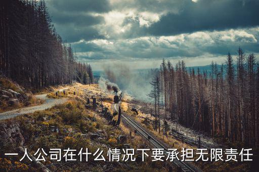 什么人承擔(dān)無(wú)限納稅義務(wù)，什么人不用納稅