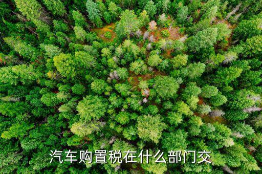 交購置稅的是什么部門，購置稅是在哪個(gè)部門繳納本人在鄭州市惠濟(jì)區(qū)