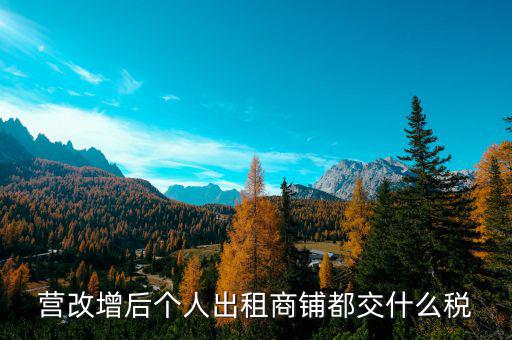 個(gè)人出租商鋪交什么稅，個(gè)人出租商鋪需要繳納什么稅