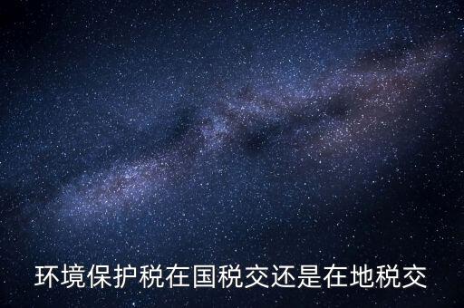 什么人要交環(huán)境保護(hù)稅，環(huán)境保護(hù)稅在國稅交還是在地稅交