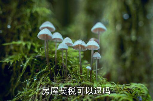 契稅什么情況可以退，購房契稅何時(shí)能退下來