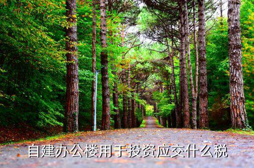 自建辦公樓要交什么稅，自建辦公樓用于投資應交什么稅