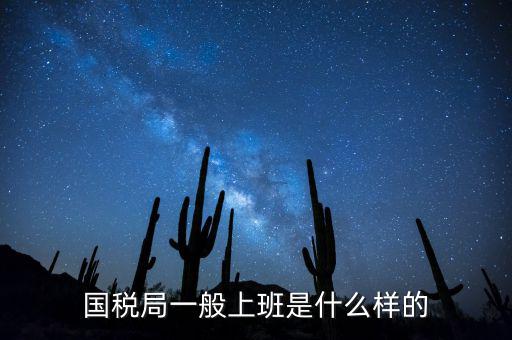 國稅局司機(jī)算什么工種，國稅局司機(jī)是干哪些工作的