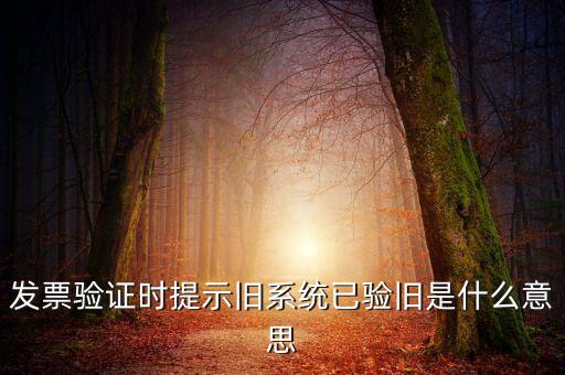 發(fā)票的驗(yàn)舊時(shí)間是什么意思，發(fā)票驗(yàn)證時(shí)提示舊系統(tǒng)已驗(yàn)舊是什么意思