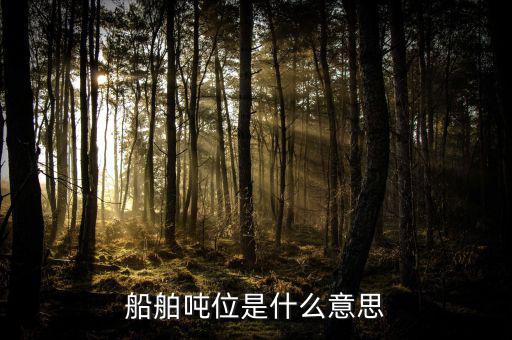 車船噸位是什么，船舶噸位是什么意思
