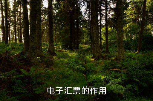 電子發(fā)票作用是什么，電子發(fā)票系統(tǒng)能做什么用