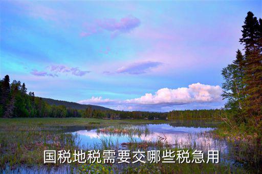 國稅代扣地稅什么稅種，國稅地稅各交什么稅種
