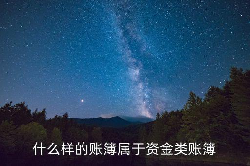 什么叫做資金賬簿，資金賬簿是總賬還是明細(xì)賬