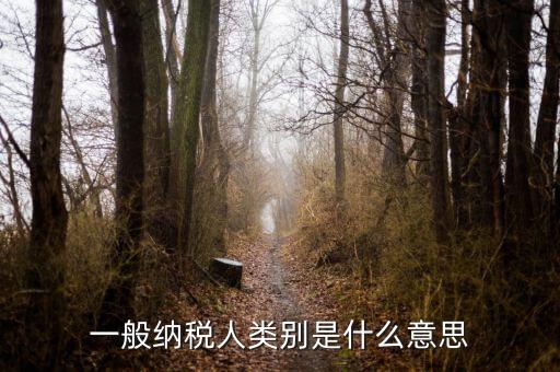 納稅人類別填什么，一般納稅人類別是什么意思