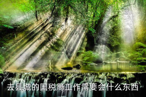 國家稅務(wù)局都要會什么，稅務(wù)局工作需要點什么