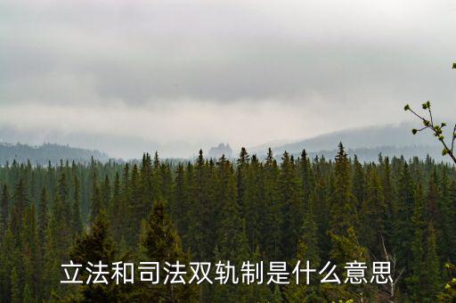 雙軌運(yùn)行什么意思，雙軌運(yùn)行解數(shù)字