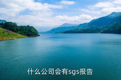 國別報告什么企業(yè)報送，管理學中提到的國別是什么意思或者是指的什么