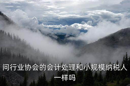 行業(yè)協(xié)會(huì)為什么納稅人，問(wèn)行業(yè)協(xié)會(huì)的會(huì)計(jì)處理和小規(guī)模納稅人一樣嗎