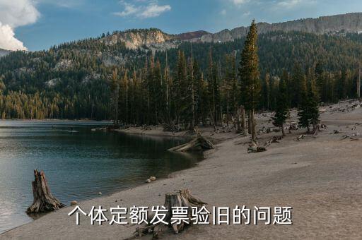 定額發(fā)票驗(yàn)舊的功能是什么，發(fā)票驗(yàn)舊是什么意思