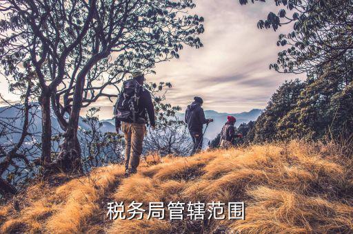 國稅局管什么地方，國家稅務局管理哪些納稅人