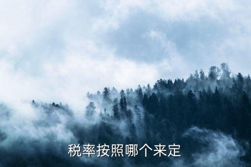 什么人定的稅收預(yù)測(cè)準(zhǔn)確率，稅率按照哪個(gè)來(lái)定