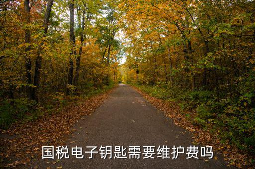 辦稅鑰匙是什么意思，網(wǎng)上報稅請插入電子令牌是什么意思