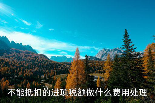 進項稅不讓抵扣后如何處理，不能抵扣的進項稅額做什么費用處理