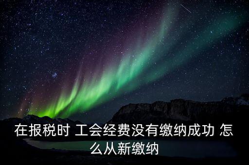 如何補繳工會經(jīng)費，在報稅時 工會經(jīng)費沒有繳納成功 怎么從新繳納