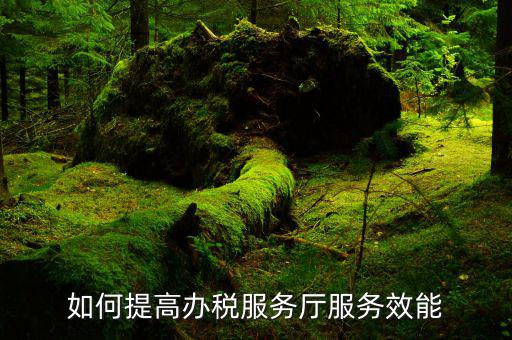 如何提高辦稅服務(wù)廳人員業(yè)務(wù)，如何做好辦稅服務(wù)廳的服務(wù)工作