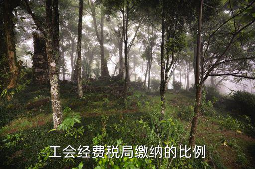 稅局代收的工會經(jīng)費應(yīng)如何交納，稅務(wù)局代收的工會經(jīng)費怎么交
