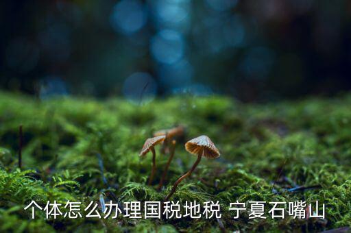 如何進(jìn)行網(wǎng)上稅務(wù)申報(bào)寧夏，寧夏中稅電子申報(bào)系統(tǒng)的報(bào)表時間如何修改 是CTRL神馬來的