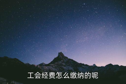 天津市工會(huì)經(jīng)費(fèi)如何征收，請(qǐng)問(wèn)工會(huì)經(jīng)費(fèi)怎么繳納