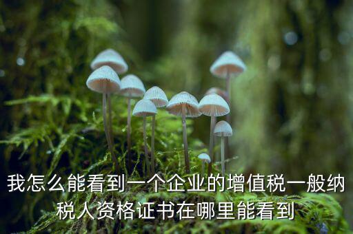 增值稅一般納稅人資格如何查詢，重慶國稅網如何查詢企業(yè)是否一般納稅人