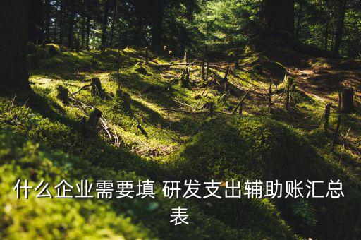 研發(fā)支出 輔助賬匯總表如何填寫，什么企業(yè)需要填 研發(fā)支出輔助賬匯總表