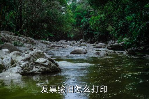 國稅發(fā)票查驗系統(tǒng)如何打印，發(fā)票真?zhèn)尾樵兘Y果怎么打印打印出來有點亂求怎么打印的謝謝百度