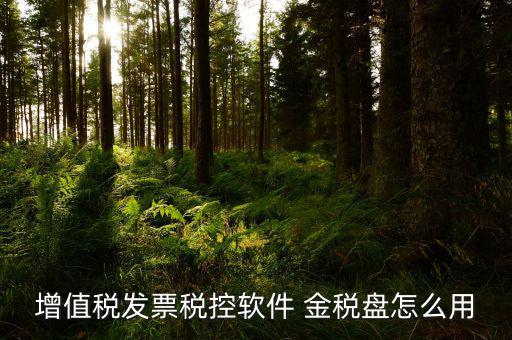 稅控盤如何用，我想問(wèn)下 稅控盤如何使用