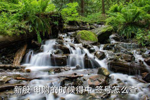 新股申購簽號怎么查詢,投資人可從網站下載新股申購指南