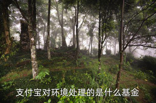 支付寶中的基金是什么，支付寶對環(huán)境處理的是什么基金